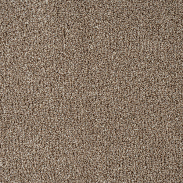 Warm Beige Indiana Saxony Carpet