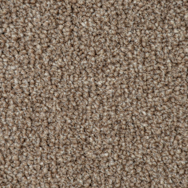 Warm Beige Indiana Saxony Carpet