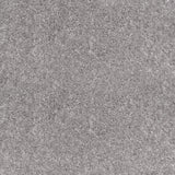 Warm Grey 95 Splendour iSense Carpet