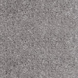 Warm Grey 95 Splendour iSense Carpet