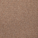 Stainfree Oakland Berber Carpet