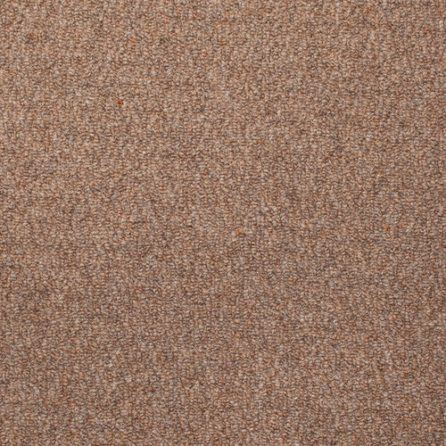 Stainfree Wildwood Oakland Berber Carpet