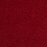 Wine Red 20 Revolution Carpet