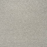 Stainaway Harvest Heathers Deluxe Carpet