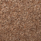 Prestige Twist Deluxe 53oz Carpet